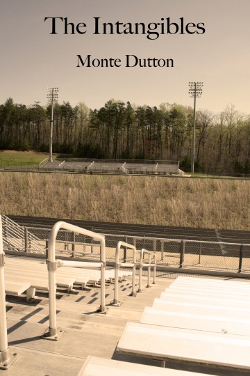 (Melanie Ryon cover design)