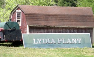 The mill's torn down, but the sign's holding up.