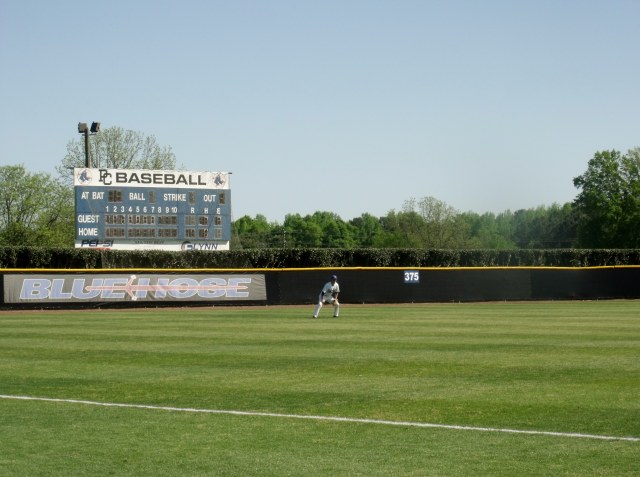 Patrolling the left garden.