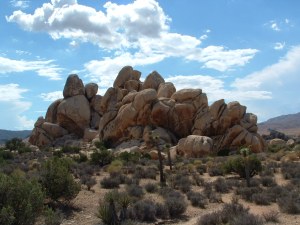 Charles thought it best to be stoned. Joshua Tree National Park, California.
