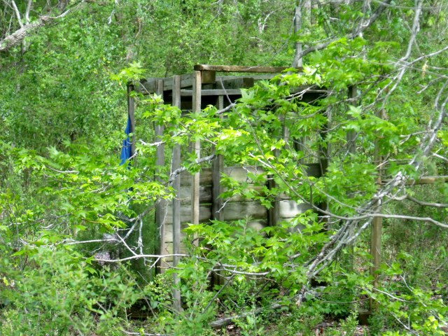 Things around here just ain't what they used to be. (Monte Dutton photo)