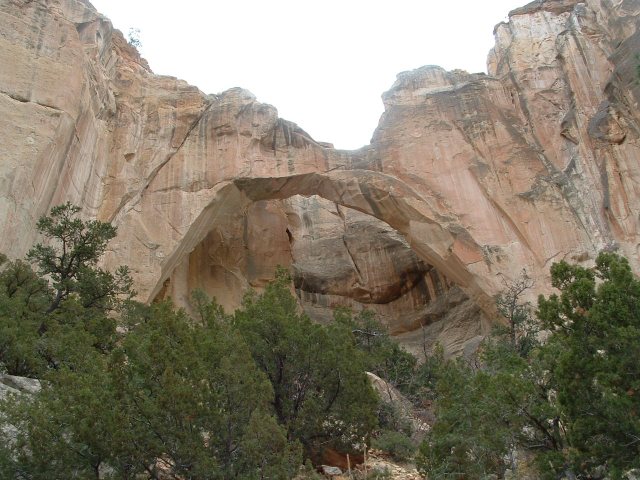 Natural Bridge at El Malpais National Monument, New Mexico. (Monte Dutton)