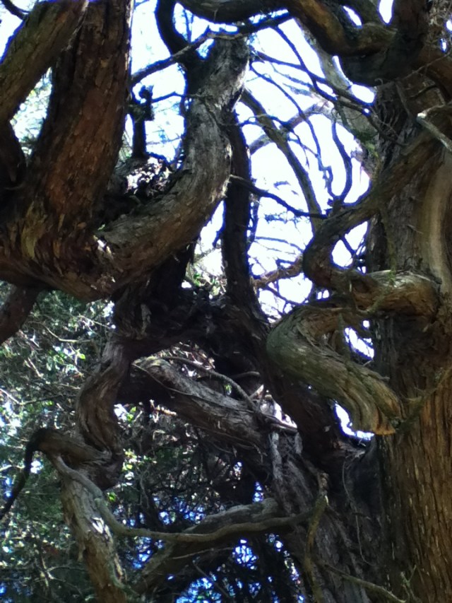 (Monte Dutton photos)